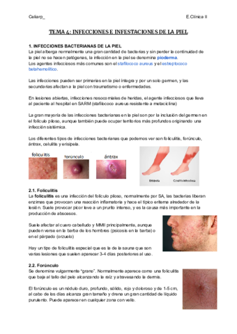 TEMA-4-INFECCIONES-E-INFESTACIONES-DE-LA-PIEL.pdf