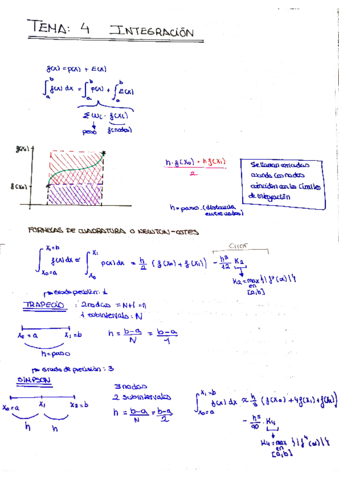 Tema-4-Integracion.pdf