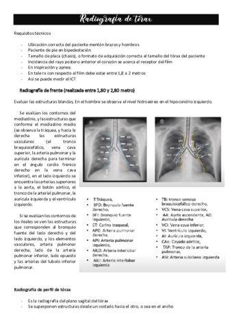 Radiografia-de-torax.pdf