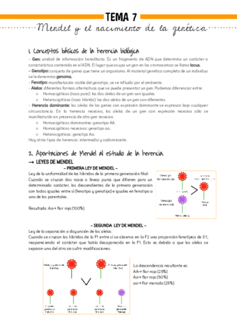 Bio-Tema-7.pdf