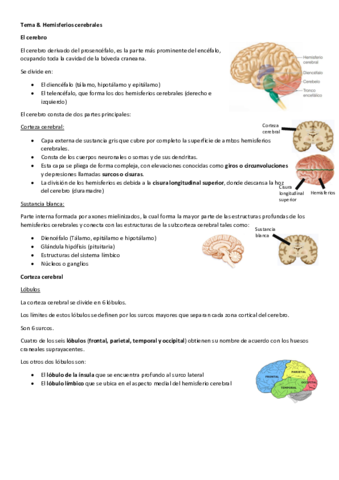 Tema-8.pdf