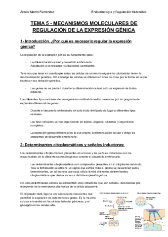 TEMA-5-MECANISMOS-MOLECULARES-DE-REGULACION-DE-LA-EXPRESION-GENICA.pdf