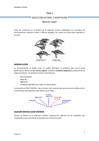 Tema-4-Seleccion-natural.pdf