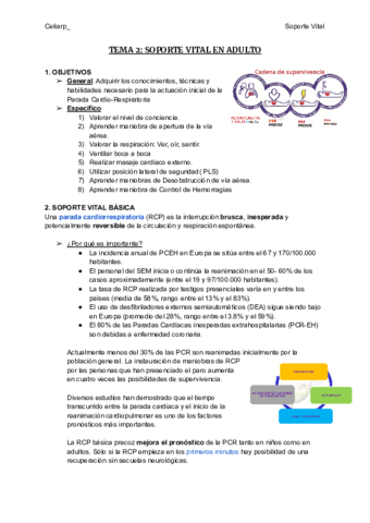 TEMA-2-SOPORTE-VITAL-EN-ADULTO.pdf