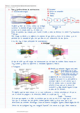 Tema-1.pdf