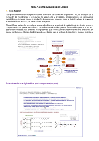tema-7-regulacion.pdf