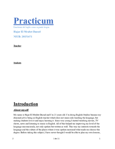 PracticumFinalHajarElMrabet.pdf