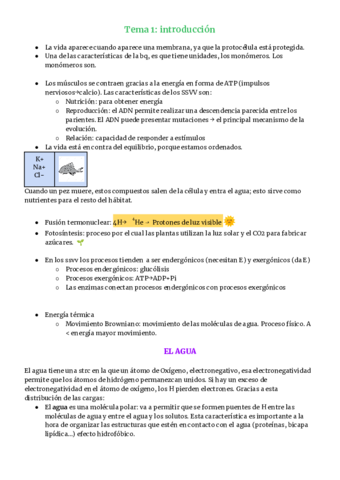 Tema-1-introduccion-1.pdf