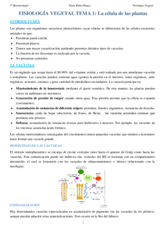 Apuntes-Paula.pdf