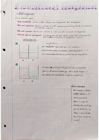 biomoleculas-y-osmosis.pdf