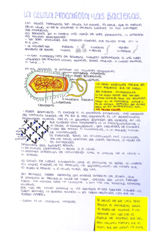 Celulas-procariotas.pdf