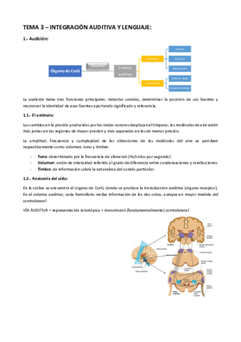 TEMA-3-Integracion-auditiva-y-lenguaje.pdf