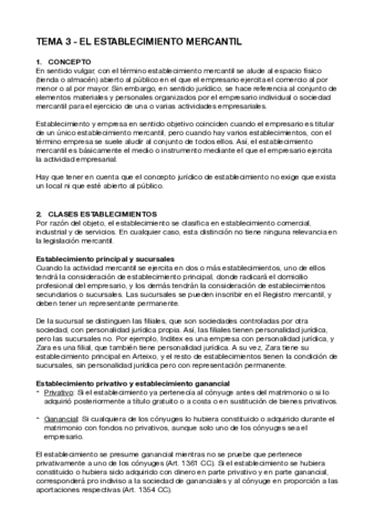 Tema-3-Establecimiento-mercantil.pdf