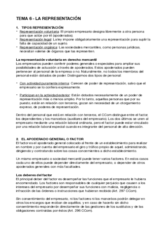 Tema-6-Representacion.pdf