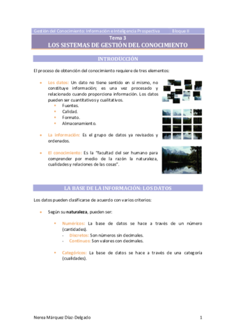 Tema-3-Los-sistemas-de-gestion-del-conocimiento.pdf