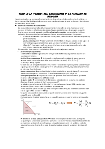 TEMA-2-micro.pdf