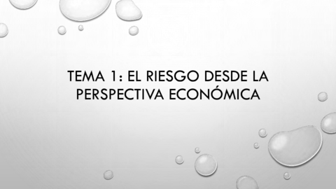 Tema-1-Riesgo-desde-la-prespectiva-economica.pdf