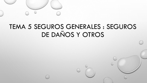 Tema-5-Seguros-Generales-Seguros-de-danos-y-otros.pdf
