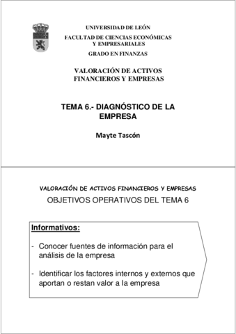 PP-T6-VAFE-2013.pdf
