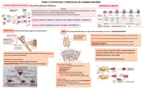 Apuntes-tema-2-inmunologia.pdf
