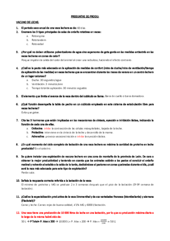 PREGUNTAS-PRODU-2oQ.pdf