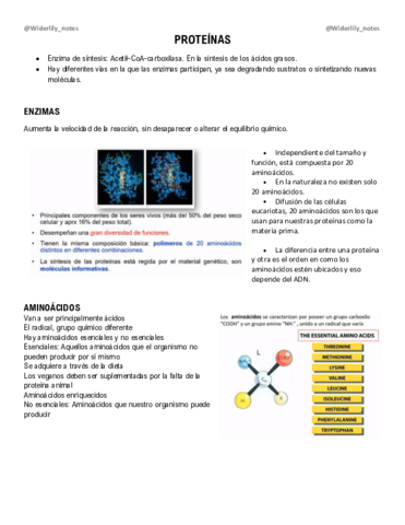 Proteinas.pdf