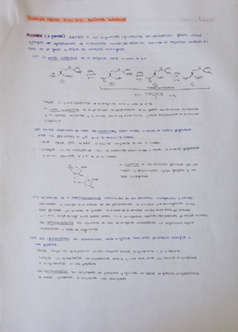 Examen-Previo-15062013-Resuelto-QuimBiologica.pdf