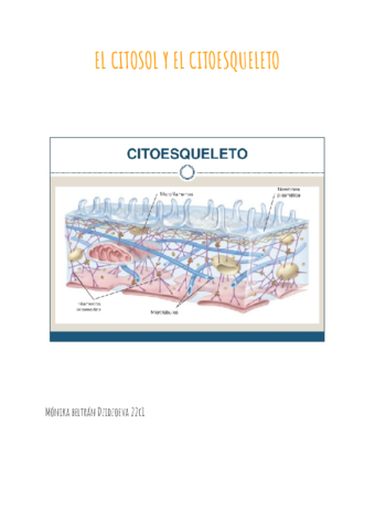 8 citosol y citoequeleto.pdf