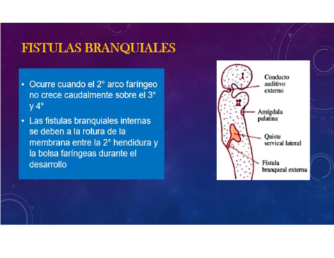 fistulas-branquiales.pdf