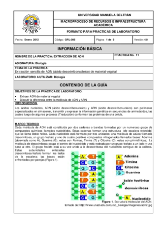 lab-no.pdf