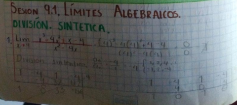 Limites-algebraicos.pdf