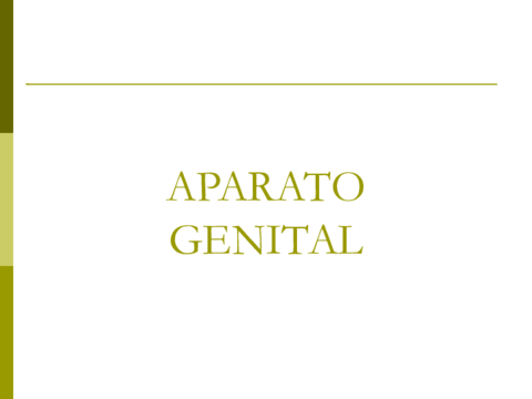 Aparato-reproductor-19-20.pdf