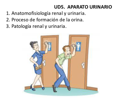 UD5-APARATO-URINARIO.pdf