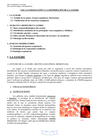 UD4-LA-OXIGENACION-Y-LA-distribucion-de-la-SANGRE-CARDIOCIRCULATORIO-Y-RESPIRATORIO-1.pdf