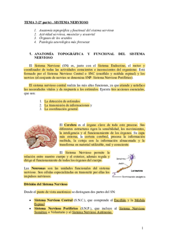 TEMA-3-2o-parte-.pdf