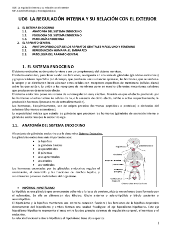 UD6-A-REGULACION-INTERNA-E-A-SUA-RELACION-CO-EXTERIOR.pdf