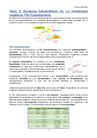 Tema-3-Micro-II.pdf