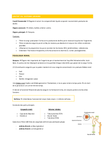 U7-Sistema-Urinari-Funcio-II.pdf