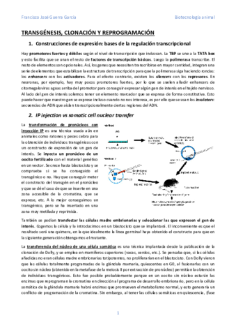 Bloque-2.pdf