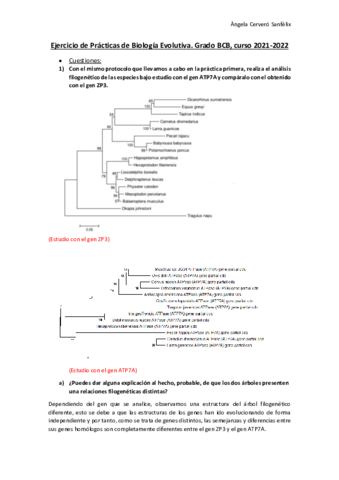 BIOINFORMATICA-EJERCICIO.pdf