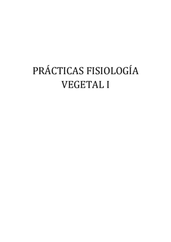 Memoria practicas FVI.pdf