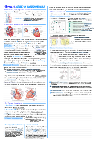 Temas-1-3-Y-7-Cardiovascular-.pdf