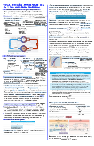 Bloque-Respiratorio-T3-Y-T4.pdf