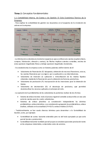 Resumen-Temario-Completo.pdf