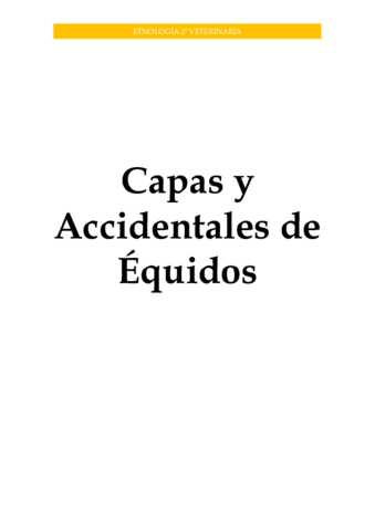 Capas-y-Accidentales-de-Equidos.pdf