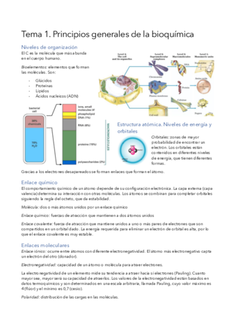 Bioquimica.pdf