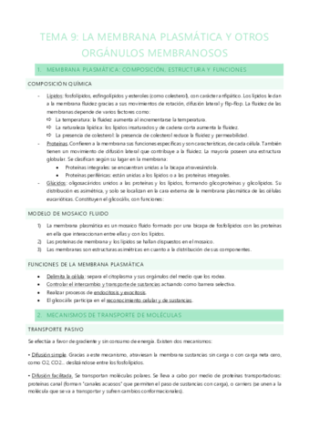 ELEMENTOS CELULARES: T9 Y 10.pdf