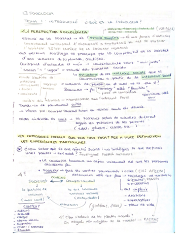 SOCIOLOGIA-TEMAS-.pdf