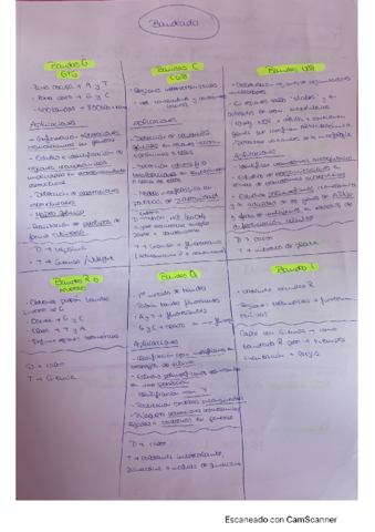 tipos-de-bandeado.pdf