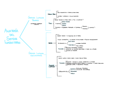 Anatomia-Del-Sistema-Inmunitario-.pdf